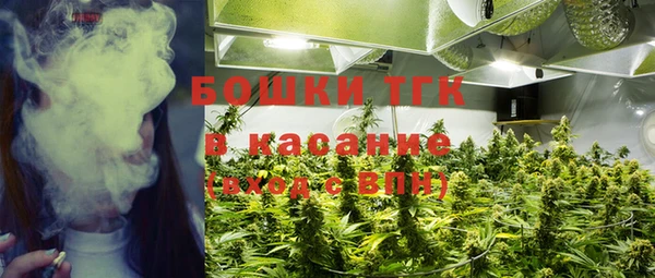 сатива Магас