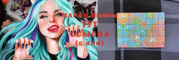 сатива Магас