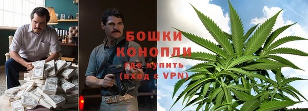 сатива Магас