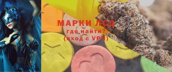 сатива Магас