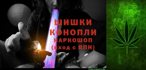 сатива Магас