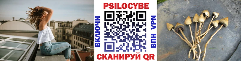 как найти наркотики  Дудинка  Псилоцибиновые грибы Psilocybine cubensis 