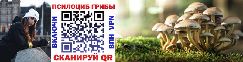 Галлюциногенные грибы GOLDEN TEACHER Дудинка